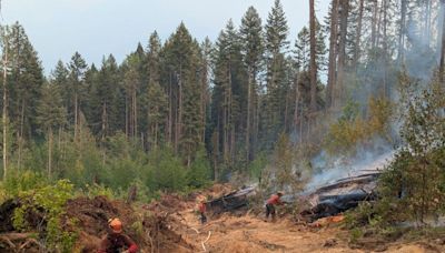 Wildfire threat lingers in British Columbia; rains offer some respite