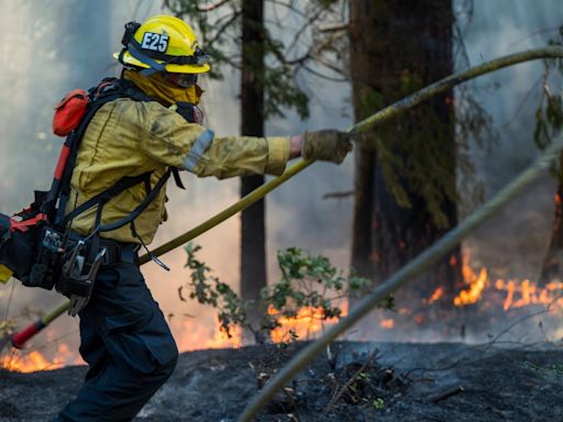 California wild fire scorches 360,000 acres - an area larger than Phoenix