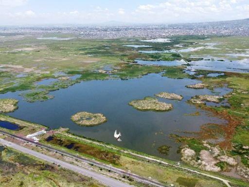 ¿Qué pasó en el Parque Ecológico Lago de Texcoco? Esto se sabe de derrame