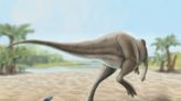 Describen en España una nueva especie de dinosaurio que fue de los últimos en extinguirse