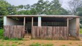 Justiça determina melhorias imediatas nas vias de acesso e na estrutura de escolas em assentamentos no Pará