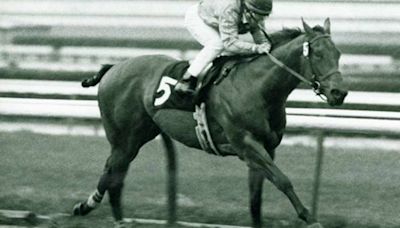 Del Mar Summer: The Beloved Horse Who Helped Put The Bing Crosby Stakes On The Map