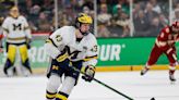 Big Ten hockey preseason honors: 3 Wolverines named to First Team