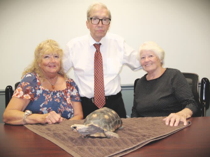 Sammy comes home: Lost tortoise reunited with grateful owner