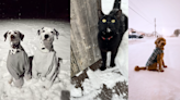 VIEWER PHOTOS: Pets in Middle TN enjoy the first snow of 2024 | Jan. 14-15