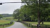 Record-Breaking Sale: Horse Farm Goes For $30.6M In Northern Westchester, Report Says