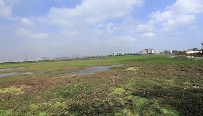NGT impleads real estate developer in case against construction of road on Perumbakkam wetland