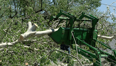 Storm damage cleanup continues in Carthage after EF-1 hits west of town