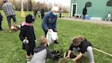 From outdoor classrooms to gardens, how Nova Scotia youth are creating healthier school communities