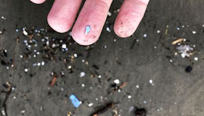 You could be breathing in microplastics that then enter your brain, new research reveals