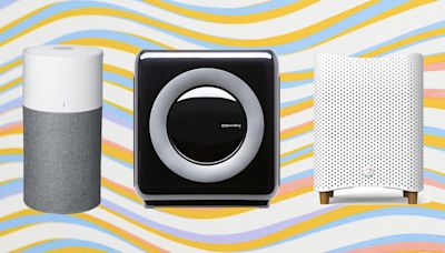 The best air purifiers of 2024