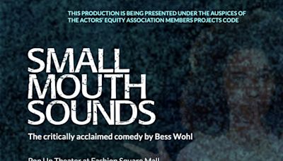 Small Mouth Sounds by Bess Wohl in Orlando at Pop Up Theater at Fahsion Square Mall 2024