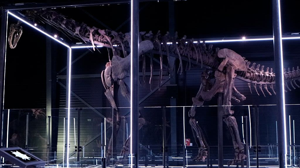 Museum of Evolution unveils 97% complete dinosaur skeleton