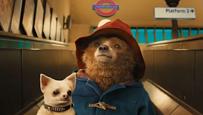 Paddington 3 Teased With Charming New Poster