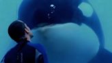 Blackfish Director Reflects on Movie’s Impact on SeaWorld 10 Years Later