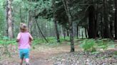 Northern Michigan trail shows off 1940s tree experiment in Manistee National Forest