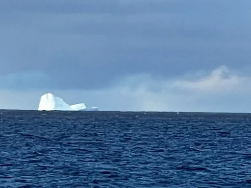 Alarma en Ushuaia: apareció un un iceberg cerca de la costa y pusieron en alerta a los barcos