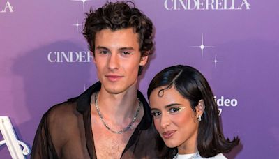 Shawn Mendes and Camila Cabello Spotted Together at Miami Soccer Game — but Are They Back On?