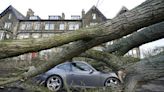 Tens of thousands of homes without power as Storm Otto brings strong winds to UK