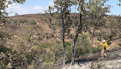 Oregon Gov. Kotek tours Larch Creek Fire damage in Wasco Co., meets with crews