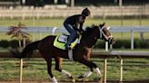 The Kentucky Derby Is a Two-Horse Race: David Papadopoulos