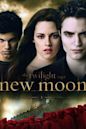 The Twilight Saga: New Moon