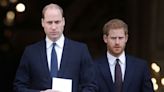 Prince Harry details rift with Prince William in 'Spare:' Look back at the brothers' relationship over the years