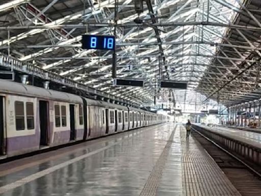 Hunting dead rodents at Chhatrapati Shivaji Maharaj Terminus, Central Railway uses ultramodern borescope cameras