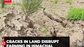 'Flood irrigation': Land cracks disrupt farming in Lahaul-Spiti, Himachal Pradesh