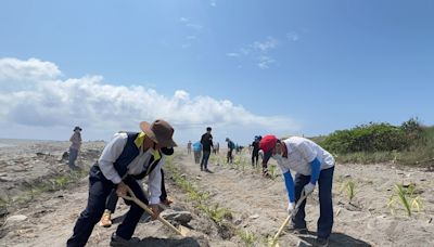 響應世界地球日 臺東環保局辦裸露地種樹活動