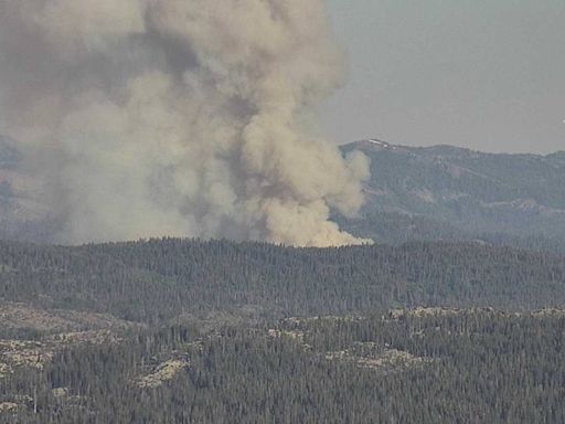 ‘Rapid’ vegetation fire burning in Tahoe National Forest near Soda Springs, officials say