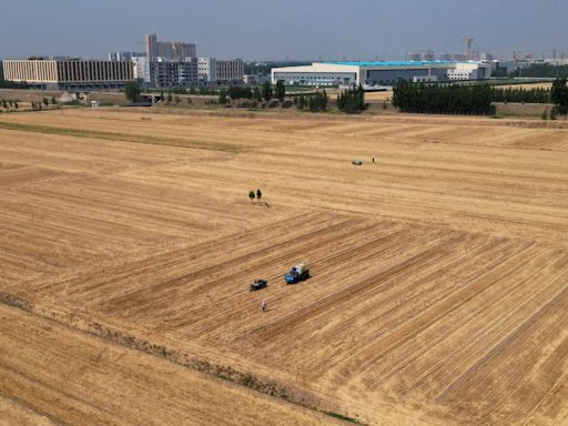 From Black Sea to US Midwest, extreme weather threatens crop output