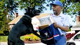 St. Louis ranks 4th for dog attacks on postal workers across the country