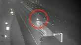 Watch moment man drives wrong way down M1 as he hurtles towards oncoming lorries