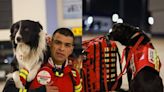 【土耳其強震】墨西哥派16隻搜救犬出任務 明星前輩曾救12人還有紀念銅像