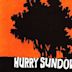 Hurry Sundown (film)