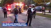 Woman, 50, wounded in shooting near Pottawatomie Park, Chicago police say