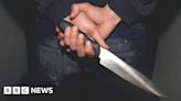 Hampshire PCC says hundreds of knives were surrendered in a week