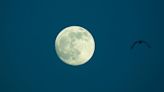 All About March's Full Moon and What It Means for Your Zodiac Sign