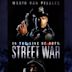 In the Line of Duty: Street War