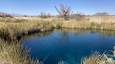 Southern Nevada delegation asks feds for 20-year mining ban near Ash Meadows wildlife refuge