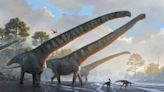 This dinosaur had the biggest neck on record — as long as a school bus, research shows