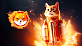 Shiba Inu's burn rate Soars 25,000% amid market downturn