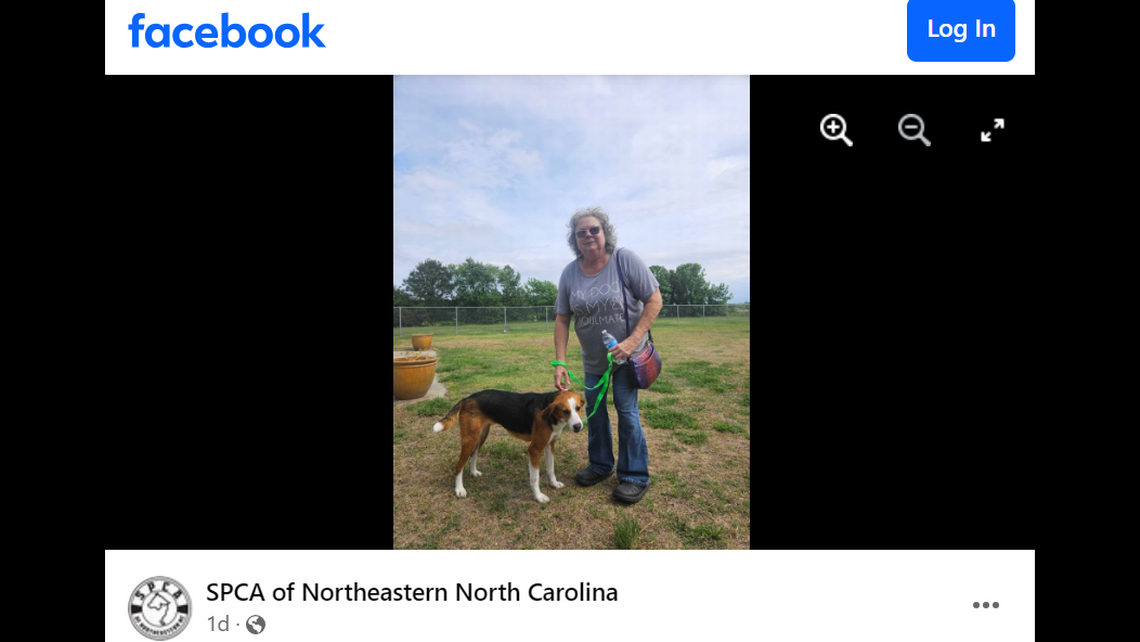 She came to look at another shelter dog — then met Cupid. ‘It was love at first sight’