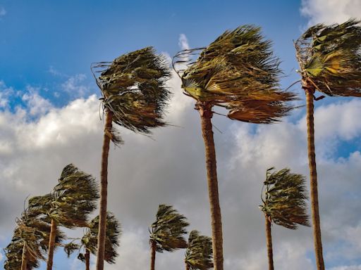 Wind cancels outdoor activities across the Las Vegas valley