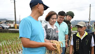 三星蔥田一片狼藉 林姿妙視察：盡速完成農損查報