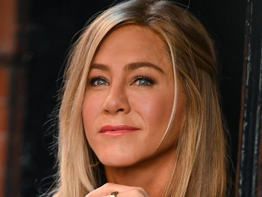 Aniston criticises 'childless cat ladies' comment