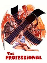 The Professionals (1966 film)