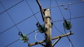 National blackout in Kenya draws call for probe into possible sabotage