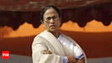 'NDA govt unstable, may not continue', claims Bengal CM Mamata Banerjee | India News - Times of India